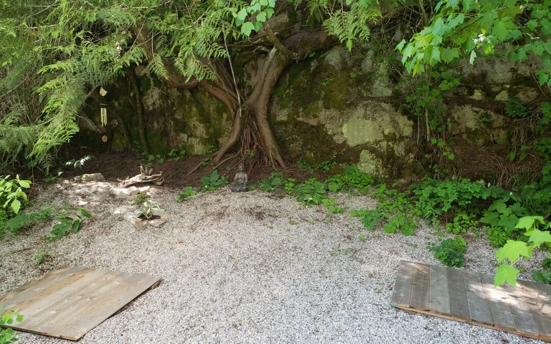 Root to Rise Day Retreat