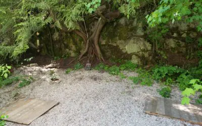 Root to Rise Day Retreat