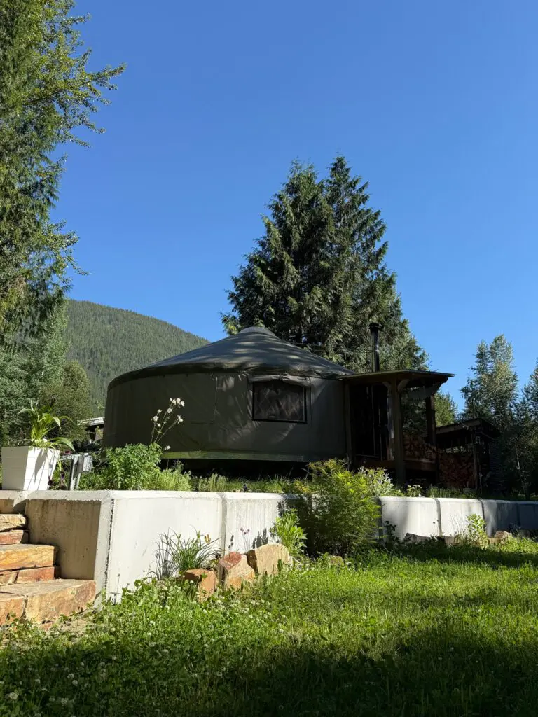 woman walking in a meadow