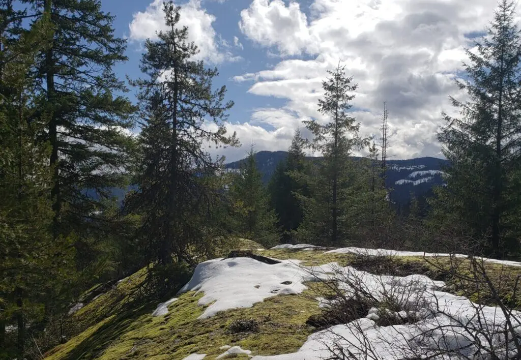 for-rest retreat trals