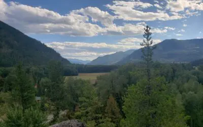 Qi Gong & Macrobiotic Foundations with Amanda Ing and Tannis Kohut