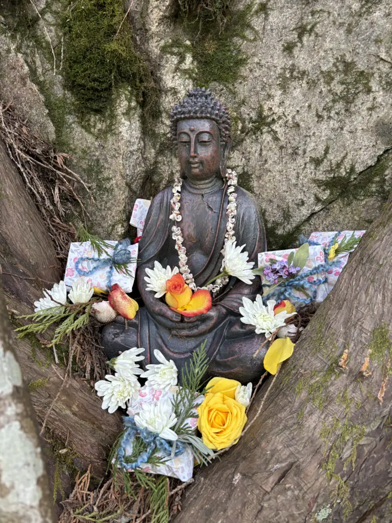 zen garden