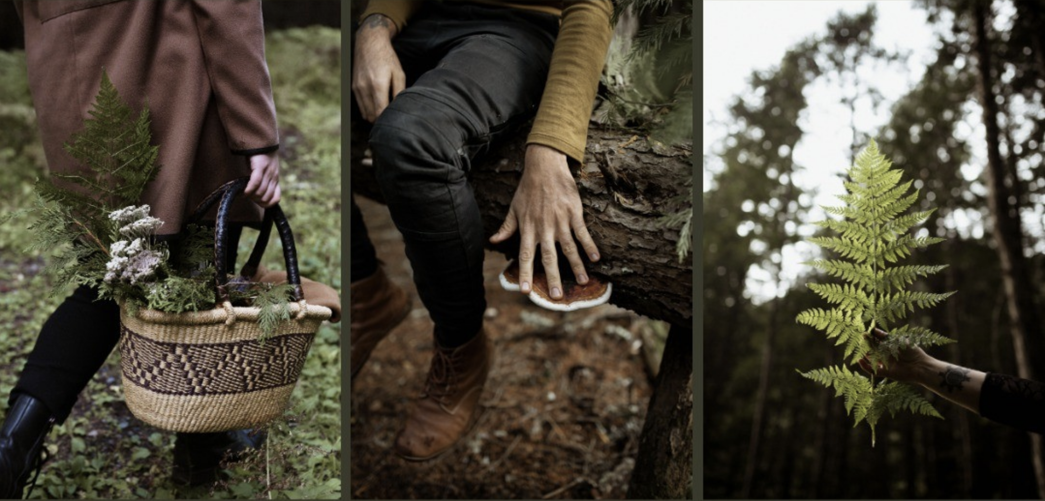 Natura Sophia Plant Workshop