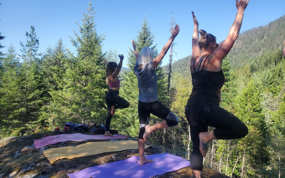 Dandelion Wellness Festival