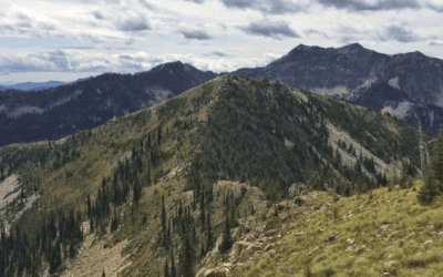 The Grounded Getaway