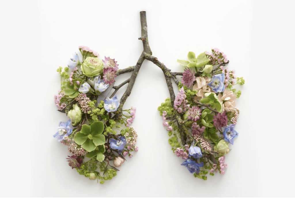 plant lungs