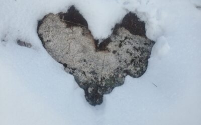 Wintering ~ A Mini Nourishing Retreat