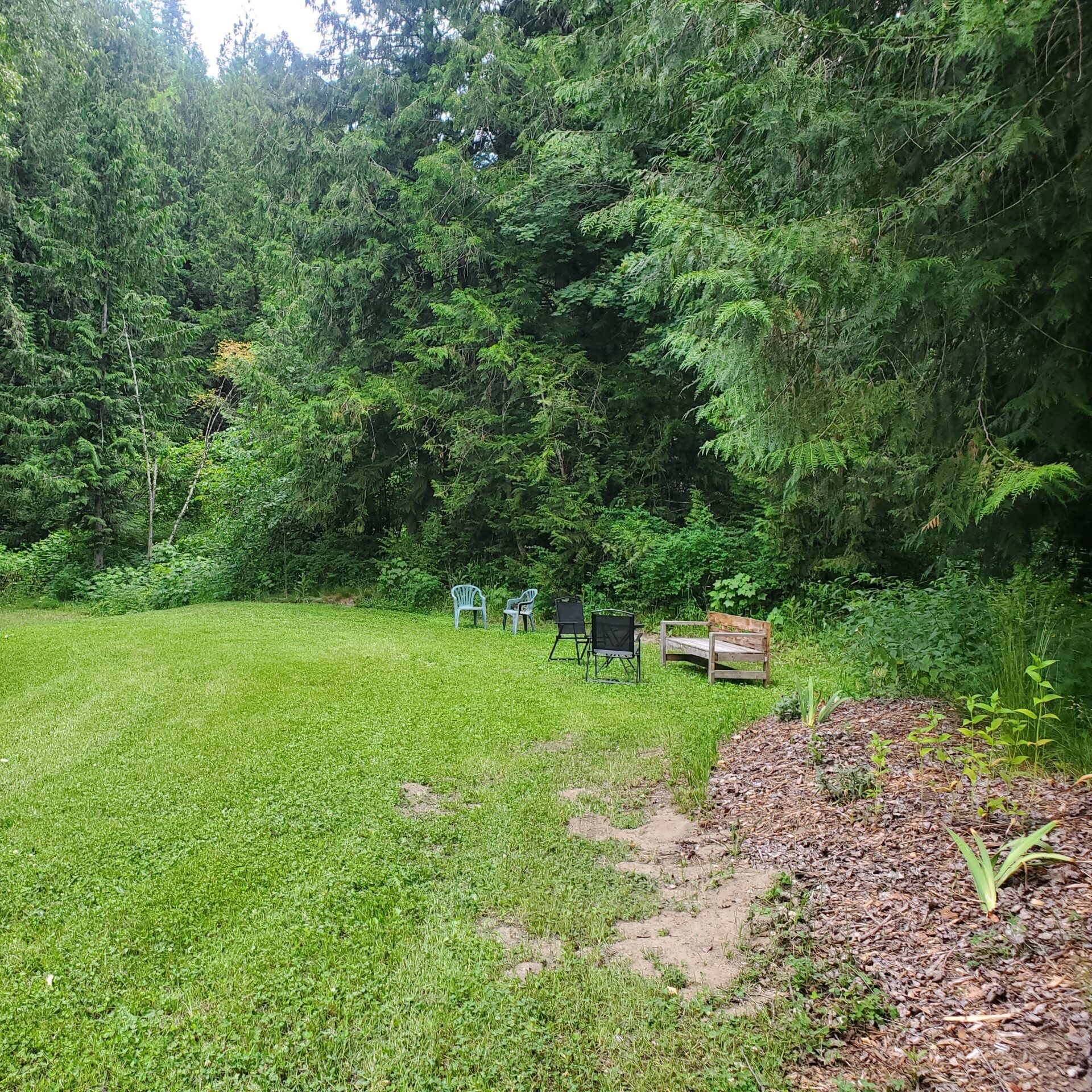 20250626_134641 green space at For-rest Retreat